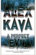 A Perfect Evil (Maggie O'Dell)