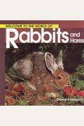 Welcome To The World Of Rabbits And Hares