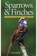 Sparrows and Finches of the Great Lakes Region and Eastern North America