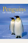Penguins Of The World