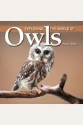 Exploring The World Of Owls