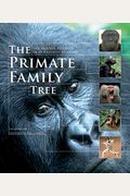 The Primate Family Tree: The Amazing Diversity Of Our Closest Relatives