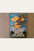 Field Guide To North American Wild Edible Plants