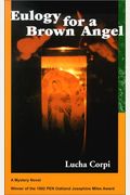 Eulogy For A Brown Angel