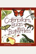 Caterpillars, Bugs, And Butterflies