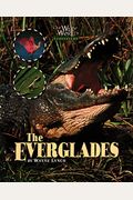 The Everglades