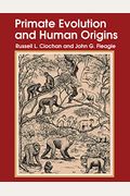 Primate Evolution And Human Origins