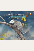 About Marsupials: A Guide For Children