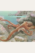 About Mollusks: A Guide For Children