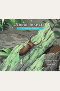 About Insects: A Guide For Children