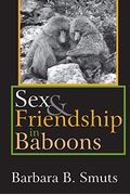 Sex And Friendship In Baboons