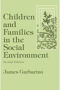 Children And Families In The Social Environment: Modern Applications Of Social Work