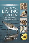 Florida's Living Beaches: A Guide For The Curious Beachcomber