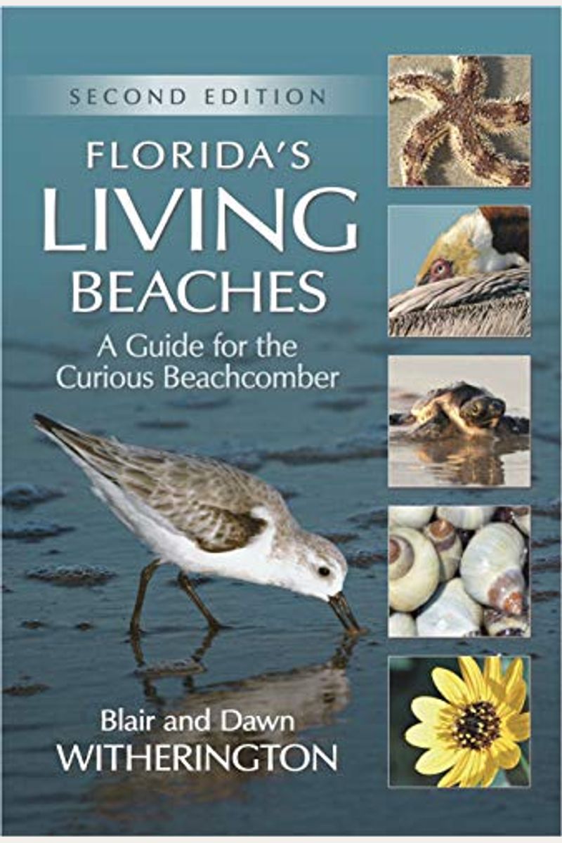 Florida's Living Beaches: A Guide For The Curious Beachcomber