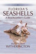 Florida's Seashells: A Beachcomber's Guide