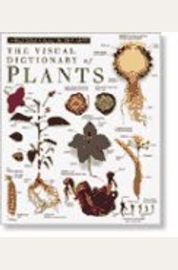 Plants Plants