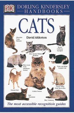 Cats Cats