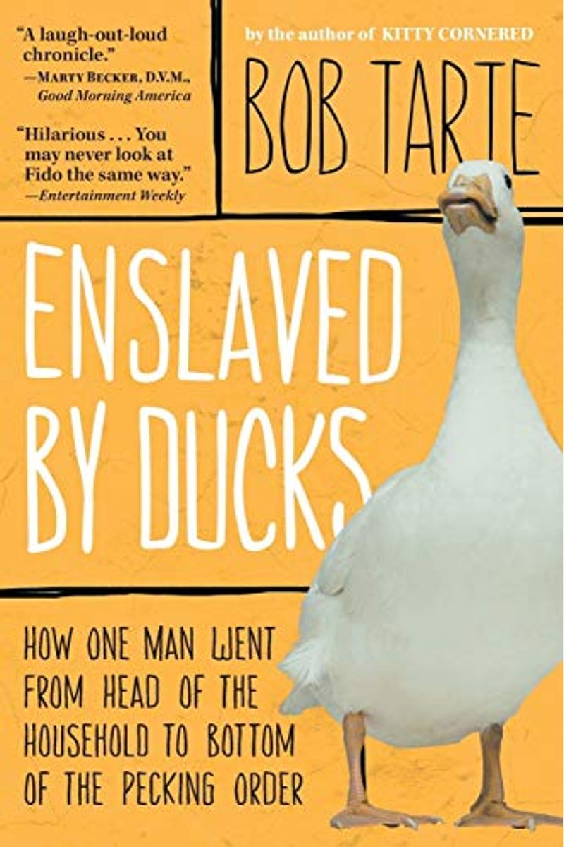Enslaved By Ducks: How One Man Went From Head Of The Household To Bottom Of The Pecking Order