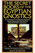 Secret Books Of The Egyptian Gnostics