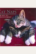Cat Naps: The Key To Contentment