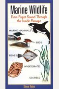 Marine Wildlife: From Puget Sound Through the Inside Passage