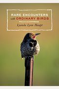 Rare Encounters With Ordinary Birds