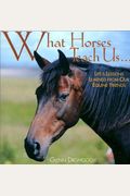 What Horses Teach Us: Life's Lessons Learned from Our Equine Friends