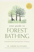 Your Guide To Forest Bathing: Experience The Healing Power Of Nature