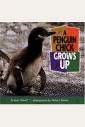 A Penguin Chick Grows Up (Baby Animals (Carolrhoda Books Hardcover))