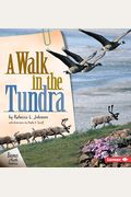 A Walk In The Tundra