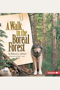A Walk In The Boreal Forest