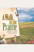 A Walk In The Prairie