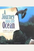 A Journey Into The Ocean