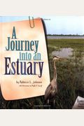A Journey Into An Estuary