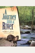 A Journey Into A River
