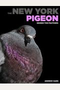 The New York Pigeon: Behind The Feathers