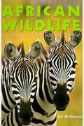 African Wildlife: A Portrait Of The Animal World