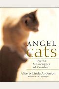Angel Cats: Divine Messengers Of Comfort