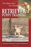 Retriever Puppy Training: The Right Start For Hunting