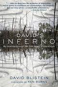 David's Inferno: My Journey Through The Dark Wood Of Depression