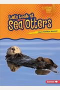 Let's Look At Sea Otters