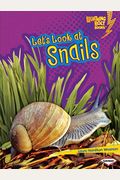 Let's Look At Snails