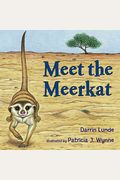 Meet The Meerkat