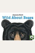 Wild About Bears