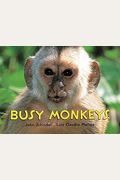 Monkeys!: A Busy Animals Book