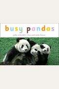 Busy Pandas