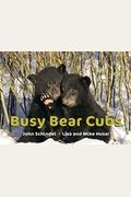 Busy Bear Cubs