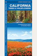 California Trees & Wildflowers: A Folding Pocket Guide To Familiar Plants