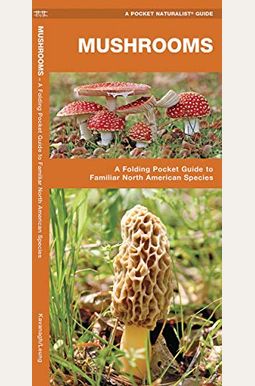 Mushrooms: An Introduction To Familiar North American Species Mushrooms: An Introduction To Familiar North American Species