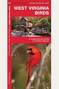 West Virginia Birds: An Introduction To Familiar Species